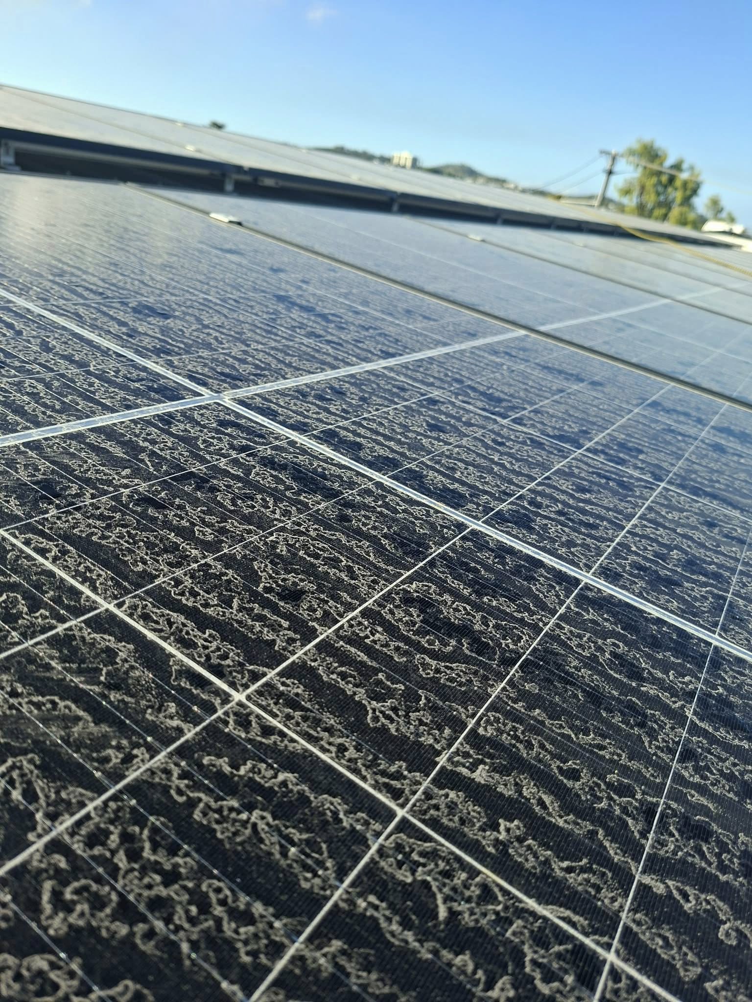 Dirty solar panels before cleaning